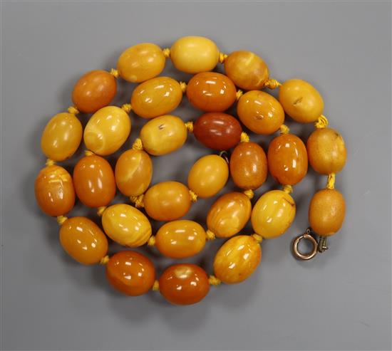 A single strand oval amber bead necklace, gross 35 grams, 50cm.